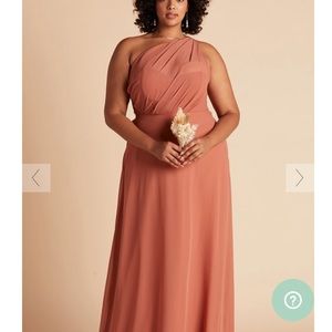 Birdy Grey 1X terracotta Kira dress NWT